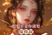 《想娶平妻你就娶，嫁你叔鳳臨天下》小說免費閱讀完整版-極品小說