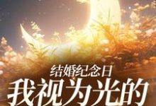 完結版《結婚紀念日，我視為光的老公出軌了》章節閱讀-極品小說