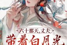 完結版《六十那天，丈夫帶著白月光回府了》免費閱讀-極品小說