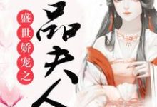 《盛世嬌寵之一品夫人》琳琅許遠風小說免費閱讀完整版-極品小說