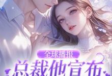 小說完整版《全球播報：總裁他宣佈夫人身份了！》免費閱讀-極品小說