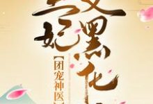 《團寵神醫：王爺，王妃又黑化了》盛錦姝閻北錚小說免費閱讀完整版-極品小說