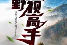 《山野透視高手》小說章節列表免費試讀，陽頂天小說在線閱讀-極品小說