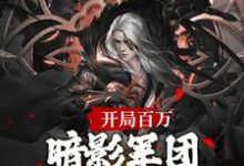 小說完整版《開局百萬暗影軍團！締造不朽帝朝》免費閱讀-極品小說