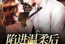 完結版《陷進溫柔後，他寵上癮了》章節閱讀-極品小說