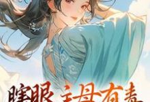 小說完整版《瞎眼主母有毒，不做也罷》免費閱讀-極品小說