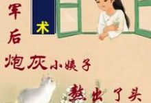 吳妮妮葉澤川小說《姐隨軍後，炮灰小姨子熬出了頭》在線閱讀-極品小說