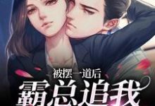 小說《被擺一道後，霸總追我火葬場》完整版在線章節免費閱讀-極品小說