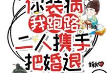 你裝病，我跑路，二人攜手把婚退方詹寧樓允宸小說完結版章節在線閱讀-極品小說