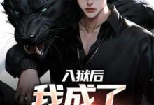 小說完整版《入獄後，我成了監獄大佬》免費閱讀-極品小說