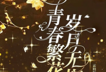 《青春繁花，歲月無悔》小說免費閱讀完整版-極品小說