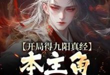 已完結小說《開局得九陽真經，本主角全程無敵！》在線章節閱讀-極品小說