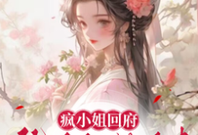 小說完整版《瘋小姐回府：仇人們，納命來》免費閱讀-極品小說