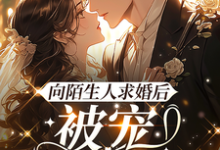 小說《向陌生人求婚後，被寵上了天》章節免費閱讀-極品小說