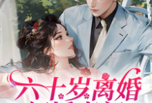 《六十歲離婚閃婚豪門！父子火葬場》林娟郝向東小說免費閱讀完整版-極品小說