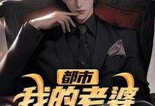 小說《都市：我的老婆是金牌殺手》完整版在線章節免費閱讀-極品小說