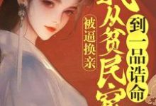 小說《被逼換親，我從貧民窟到一品誥命》章節免費閱讀-極品小說