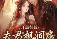 已完結小說《開局替嫁，夫君想洞房先交一千兩》在線章節閱讀-極品小說