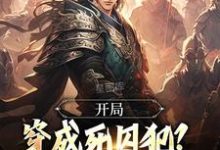 蕭文進小說完整版《開局穿成死囚犯？別急，我能稱王》免費閱讀-極品小說