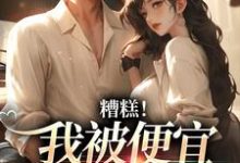 完結版《糟糕！我被便宜老公纏上了》章節目錄在線閱讀-極品小說