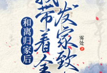 和離歸家後，我帶著全村發家致富這本小說怎麼樣？免費在線閱讀試試-極品小說