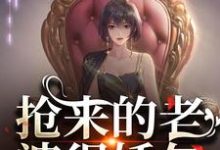 陸星晚宋辭小說免費閱讀完整版-極品小說