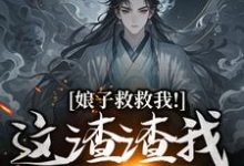 完結版《娘子救救我！這渣渣我虐不完》章節閱讀-極品小說