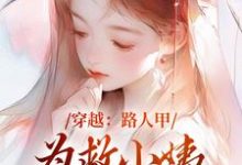 《穿越：路人甲為救小姨翻身變女主》小說大結局免費試讀 青雪小說-極品小說