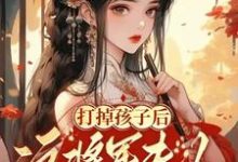 蘇歸晚雲墨小說《打掉孩子後這將軍夫人誰愛當誰當》完整版免費閱讀-極品小說