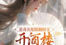 《惡毒女配踹翻劇本，開酒樓當富婆了》許迎春陸沉完整版小說免費閱讀-極品小說