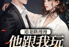 完結版《追妻路漫漫，他跟我玩攻心計》章節目錄在線閱讀-極品小說