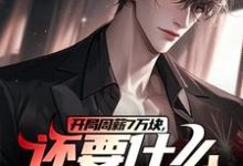 李智王婷婷完整版《開局週薪7萬塊，還要什麼自行車？》小說免費閱讀-極品小說