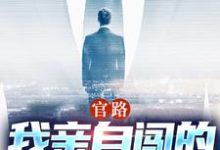 小說《官路：我親自闖的誰敢攔》完整版在線章節免費閱讀-極品小說