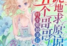 小說完整版《葉小姐獨美后，五個哥哥跪地求原諒》免費閱讀-極品小說