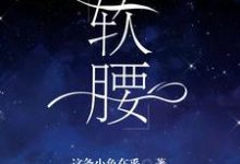 寧姜京辭小說叫什麼（軟腰完整版免費閱讀）-極品小說