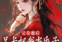 虞樂安拓跋翰霆小說完整版《父皇逝後，兄長把我當質子送去敵國》免費閱讀-極品小說