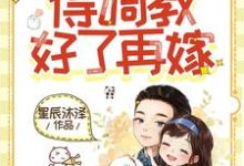 小說《重活一世還是他，得調教好了再嫁》在線章節閱讀-極品小說