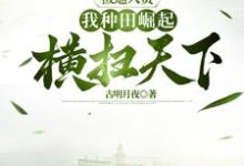 小說《被逼入贅，我種田崛起橫掃天下》章節免費閱讀-極品小說