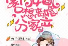 已完結小說《豪門女配只想離婚分家產》章節免費閱讀-極品小說