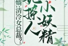 小說《贅婿：清冷女總裁？她撩人小妖精》章節免費閱讀-極品小說