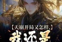 《天崩開局又怎樣，我還是大唐的王》李佑完整版小說免費閱讀-極品小說