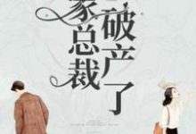 我家總裁破產了這本小說完結了嗎？免費查看最新章節-極品小說