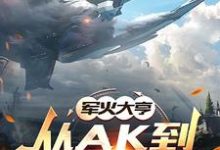 軍火大亨：從ak到星際航母小說完結版章節免費閱讀-極品小說