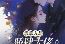 《乖乖入局，驕肆大佬無處不低頭》小說免費閱讀完整版-極品小說