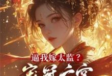 完結版《逼我嫁太監？寵冠六宮氣死你全家》章節目錄在線閱讀-極品小說