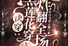 謝婉完整版《快穿：黑蓮花穿大冤種，炸翻全場》小說免費閱讀-極品小說