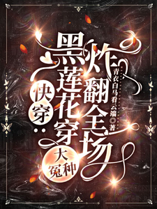 謝婉完整版《快穿：黑蓮花穿大冤種，炸翻全場》小說免費閱讀