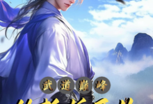 《武道巔峰：從斬妖開始》林易小說免費閱讀完整版-極品小說