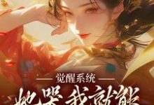 小說完整版《覺醒系統：她哭我就能獲得靈力》免費閱讀-極品小說