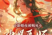 在線免費閱讀新婚夜被賜死？火爆醫妃她有喜了！完整小說-極品小說